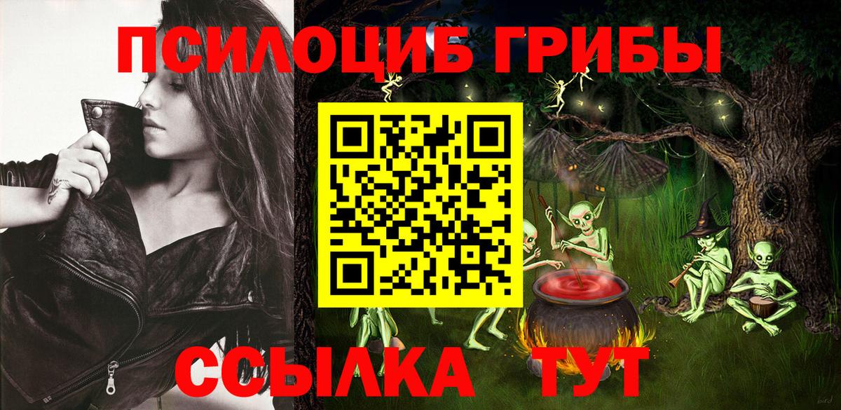 продажа наркотиков  Галлюциногенные грибы GOLDEN TEACHER  Вход с VPN  Свободный  Псилоцибиновые грибы ЛСД 