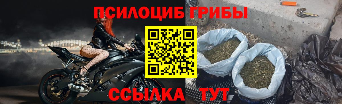 Псилоцибиновые грибы ЛСД Свободный