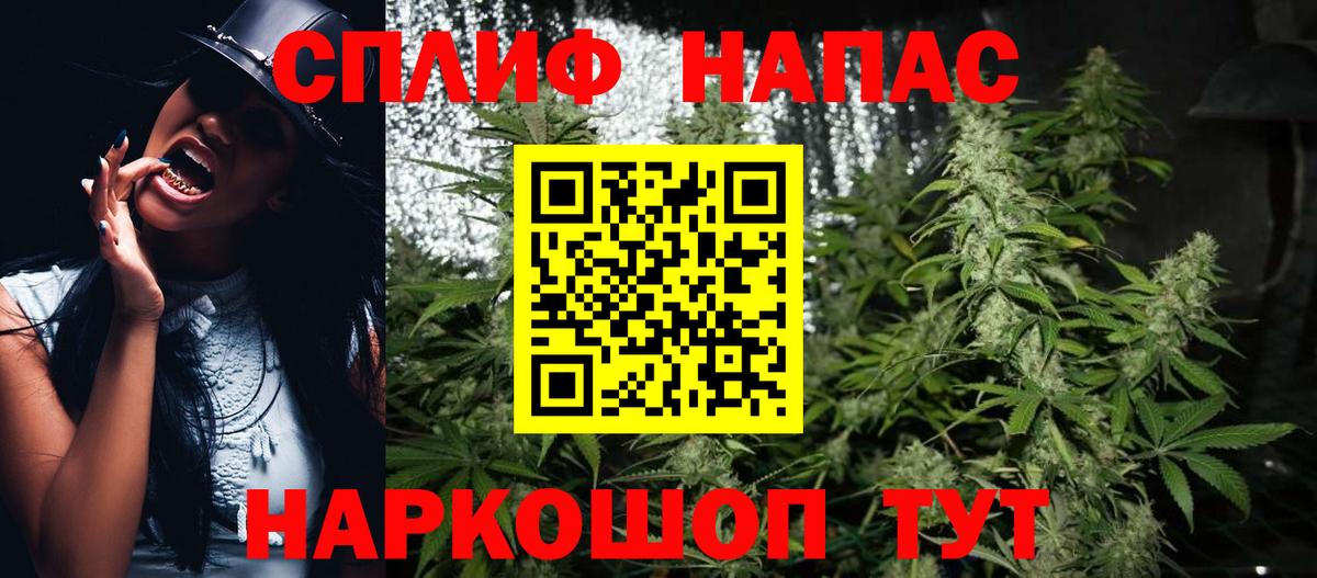 Шишки марихуана план  Бошки марихуана планчик  Вход с VPN  Свободный  Каннабис ГИДРОПОН 